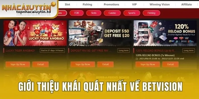 Giới thiệu khái quát nhất về Betvision